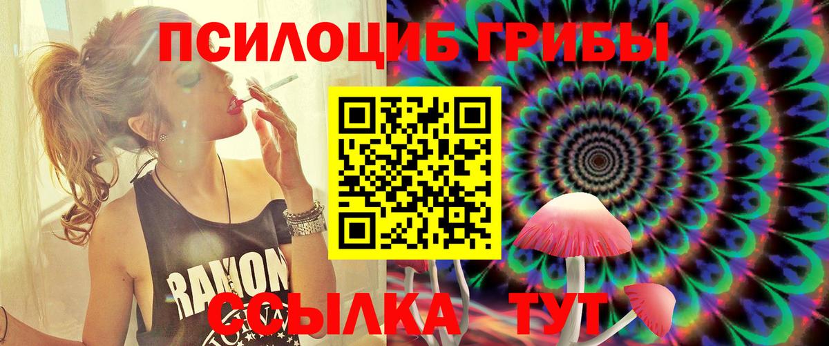 Галлюциногенные грибы мухоморы  где купить наркотик  Чапаевск  Вход с VPN 