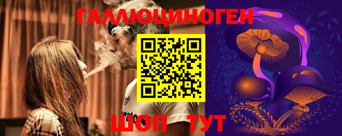 Галлюциногенные грибы Psilocybe Чапаевск